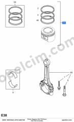 Opel Vectra B Piston Segman Std 79.00MM (X16XEL)