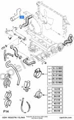 Opel Vectra A Radyatör Alt Hortumu (C20NE 18SV 20NE) YILPAR 1336498