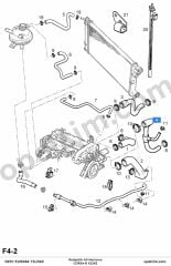 Opel Corsa B Radyatör Alt Hortumu 1.2 Ecotec (X12XE) YILPAR 6336016